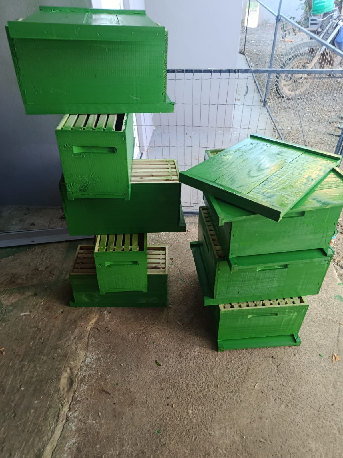 Caixas novinhas, prontas pra ir pra mata